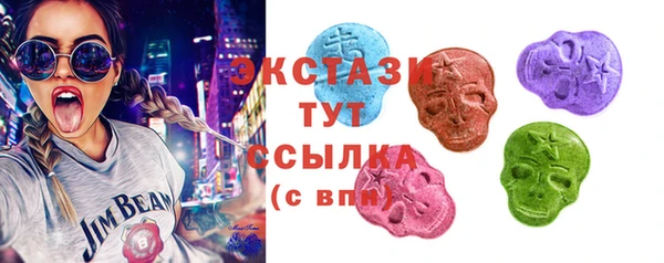 ECSTASY Богородицк